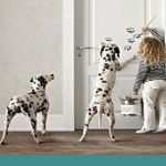 המדריך לקניית דלתות פנים