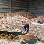 תמונות בריק ועץ